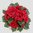 Hängende Raumdekoration mit künstlichen Blumen, rot